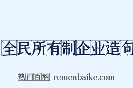 全民所有制企业造句是什么意思的图片